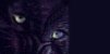 panther banner